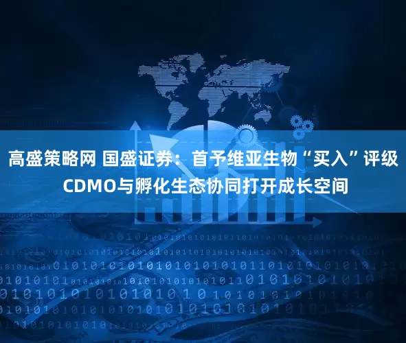 高盛策略网 国盛证券：首予维亚生物“买入”评级 CDMO与孵化生态协同打开成长空间