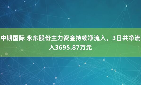 中期国际 永东股份主力资金持续净流入，3日共净流入3695.87万元