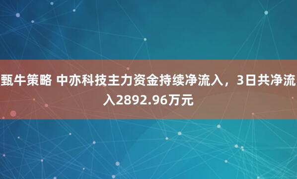 甄牛策略 中亦科技主力资金持续净流入，3日共净流入2892.96万元
