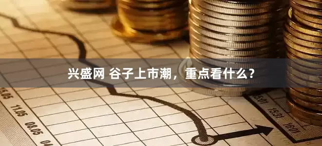 兴盛网 谷子上市潮，重点看什么？